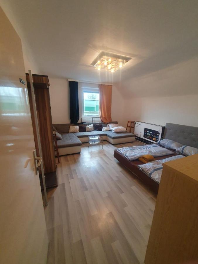 Breathtaking Shared Villa Near Danube River /W Garden And Parking Wien Exteriör bild