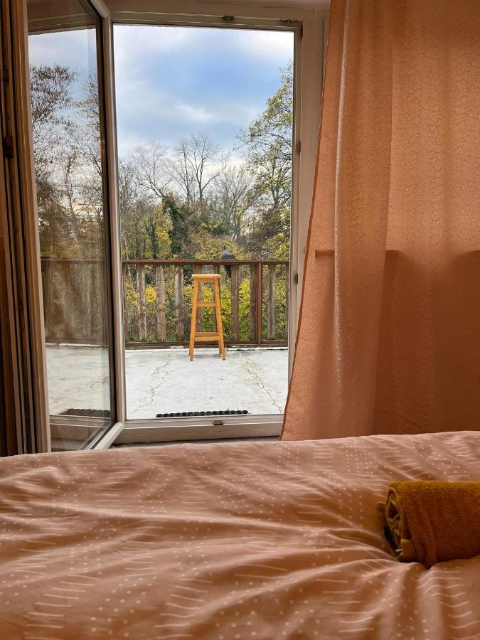 Breathtaking Shared Villa Near Danube River /W Garden And Parking Wien Exteriör bild