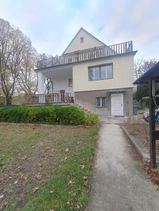 Breathtaking Shared Villa Near Danube River /W Garden And Parking Wien Exteriör bild