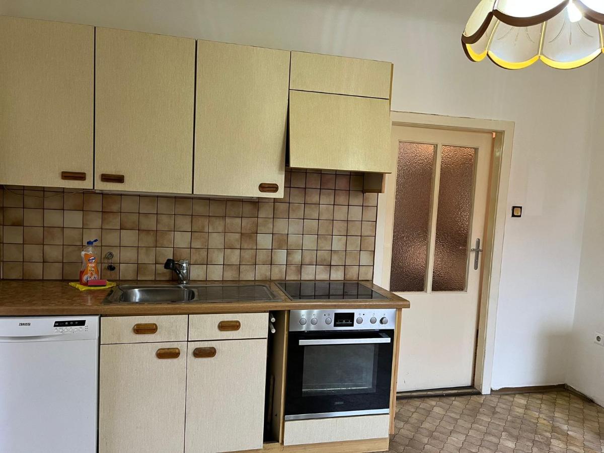 Breathtaking Shared Villa Near Danube River /W Garden And Parking Wien Exteriör bild