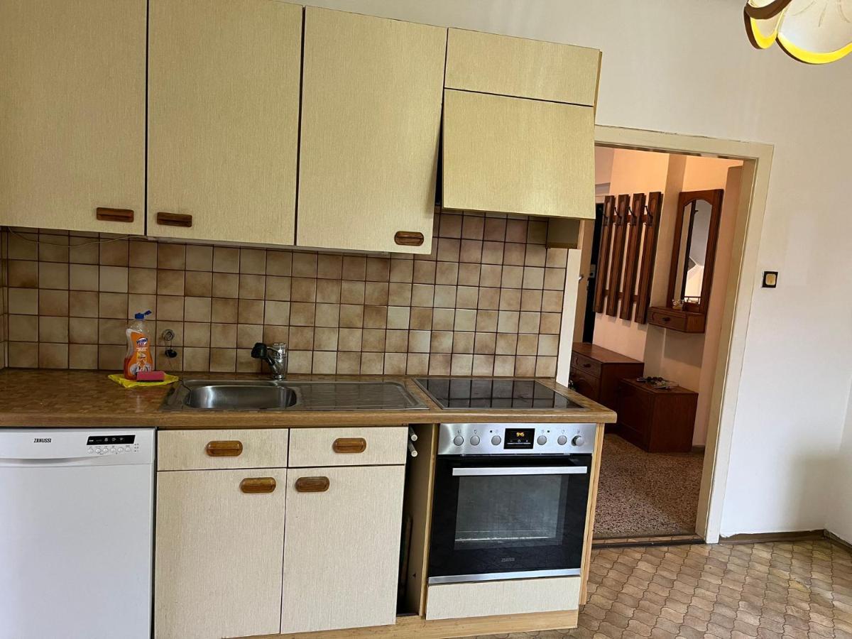 Breathtaking Shared Villa Near Danube River /W Garden And Parking Wien Exteriör bild