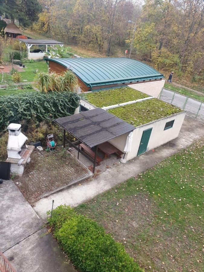Breathtaking Shared Villa Near Danube River /W Garden And Parking Wien Exteriör bild