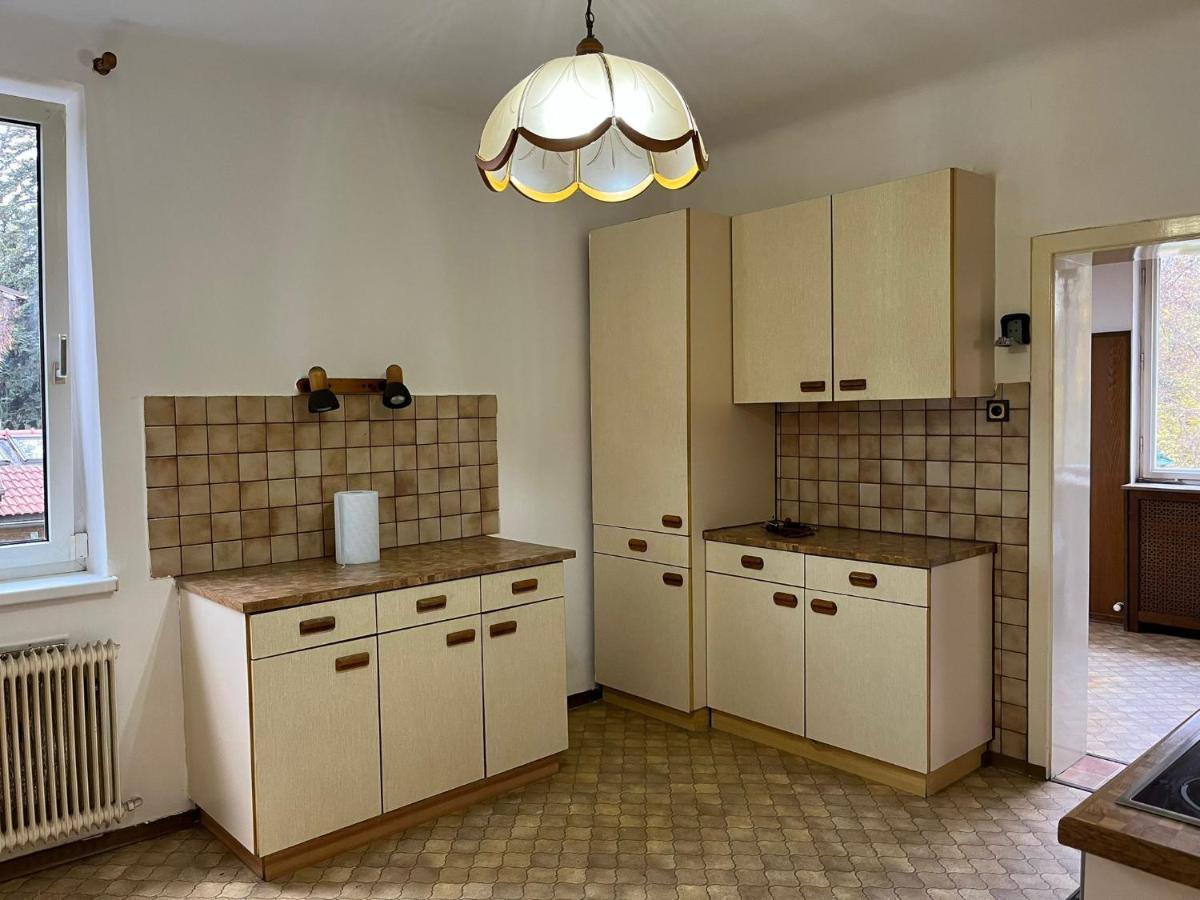Breathtaking Shared Villa Near Danube River /W Garden And Parking Wien Exteriör bild