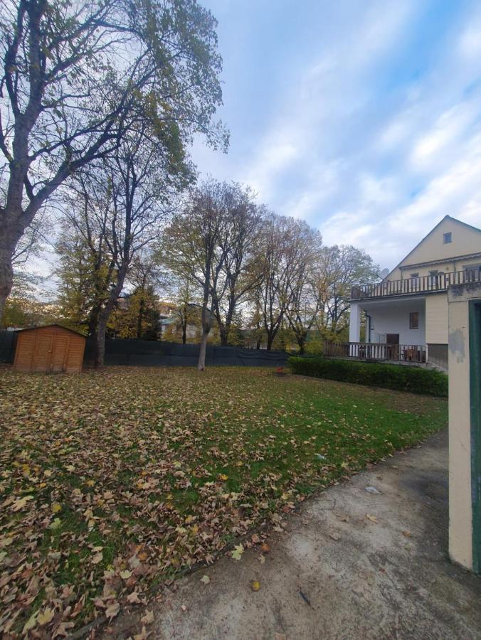 Breathtaking Shared Villa Near Danube River /W Garden And Parking Wien Exteriör bild