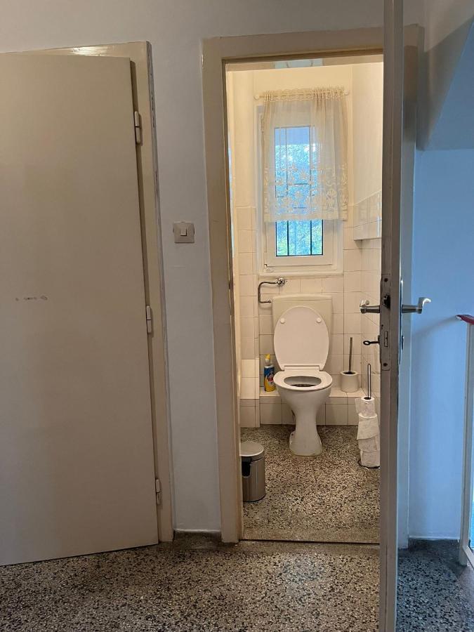 Breathtaking Shared Villa Near Danube River /W Garden And Parking Wien Exteriör bild